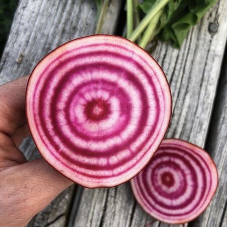 Chioggia, Beet Seeds - Packet image number null